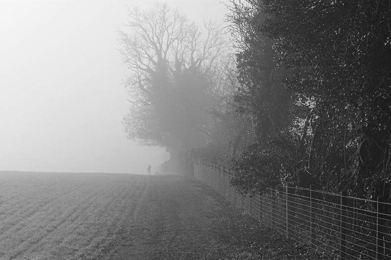 A dog walker disappearing into an autumn mist in a black and white photograph