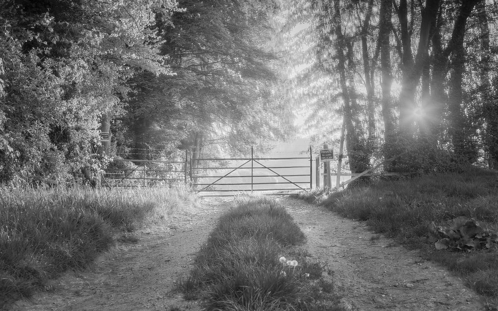Low autumn sunlight falling across a countryside gate in black and white