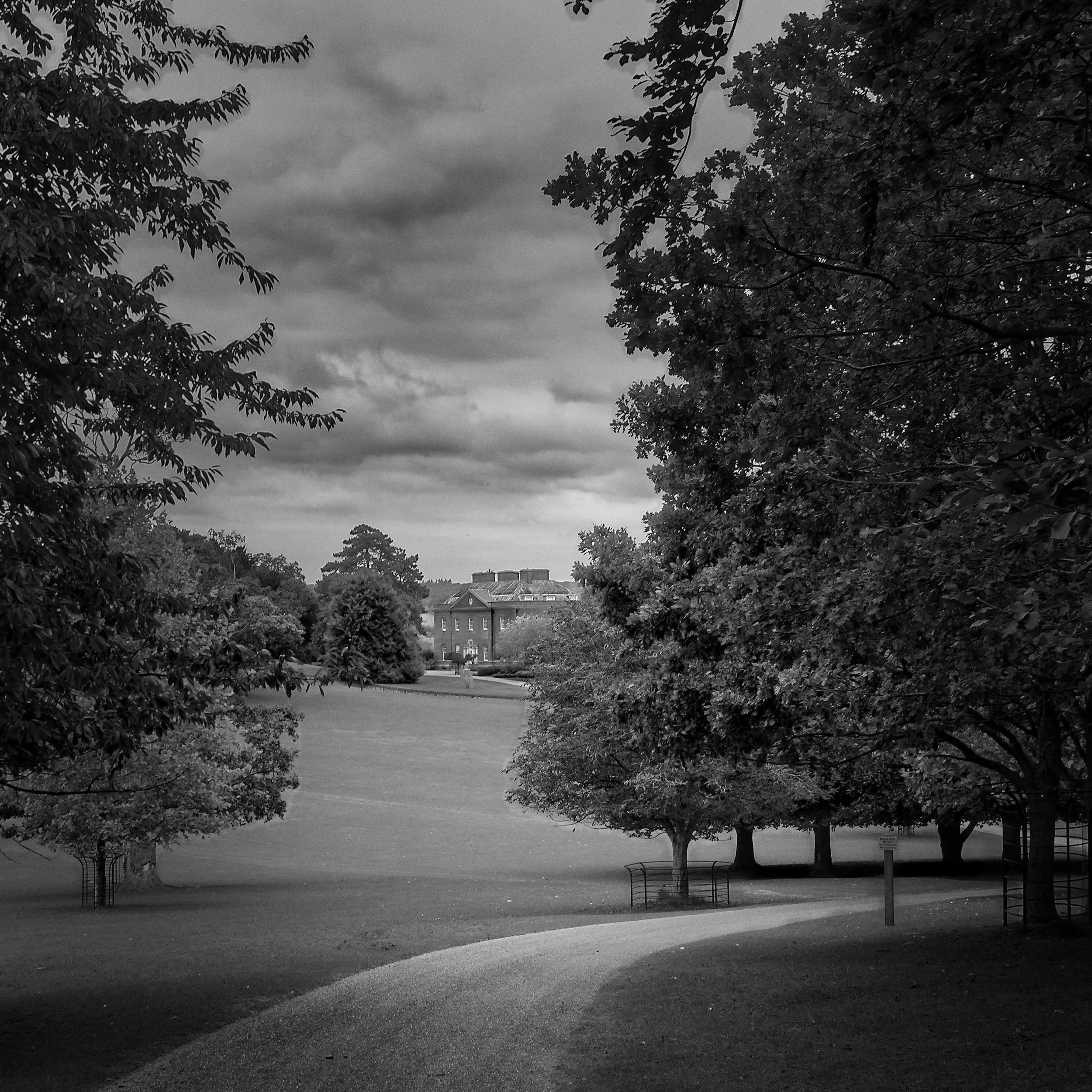 Tree-lined approach road leading towards a historic country house
