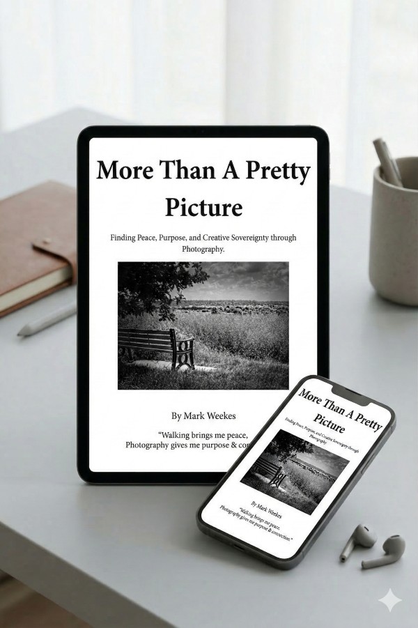 More Than a Pretty Picture digital edition