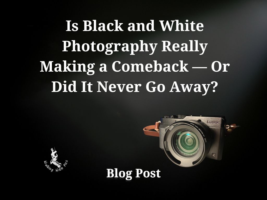 Is Black and White Photography Really Making a Comeback — Or Did It Never Go Away?