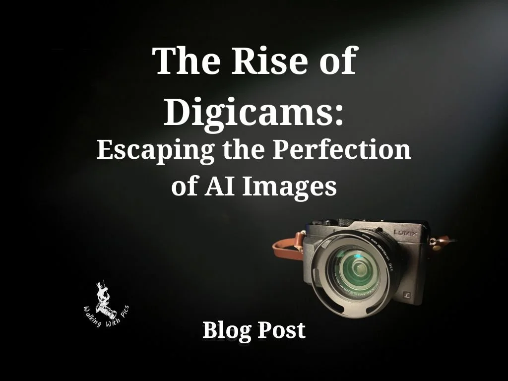 The Rise of Digicams: Escaping the Perfection of AI Images