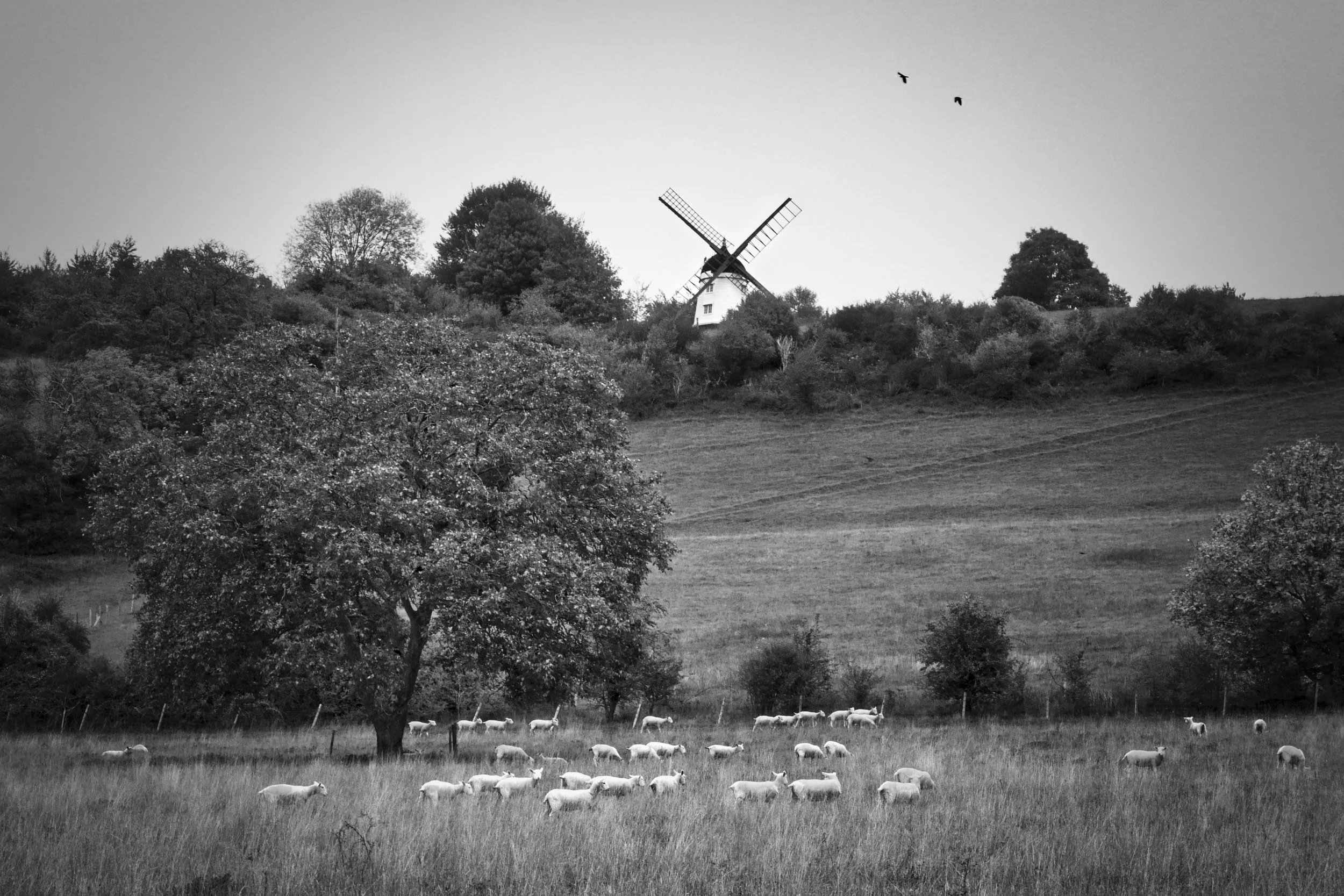Cobstone Windmill above Turville in the Chiltern Hills