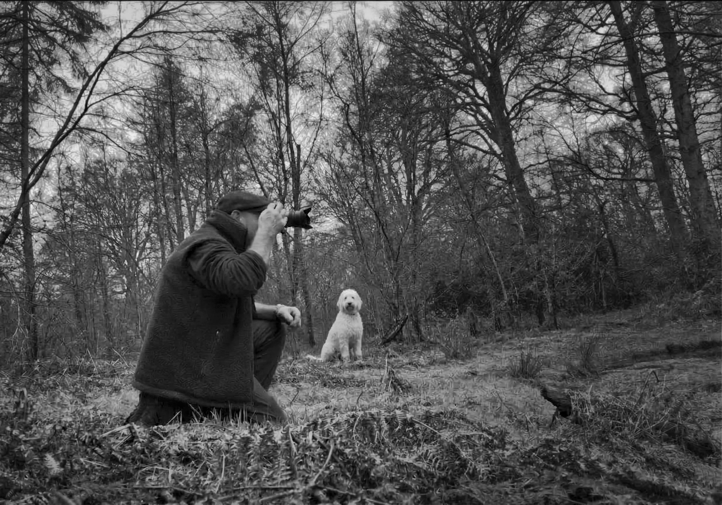 Mark photographing in woodland with Elvis