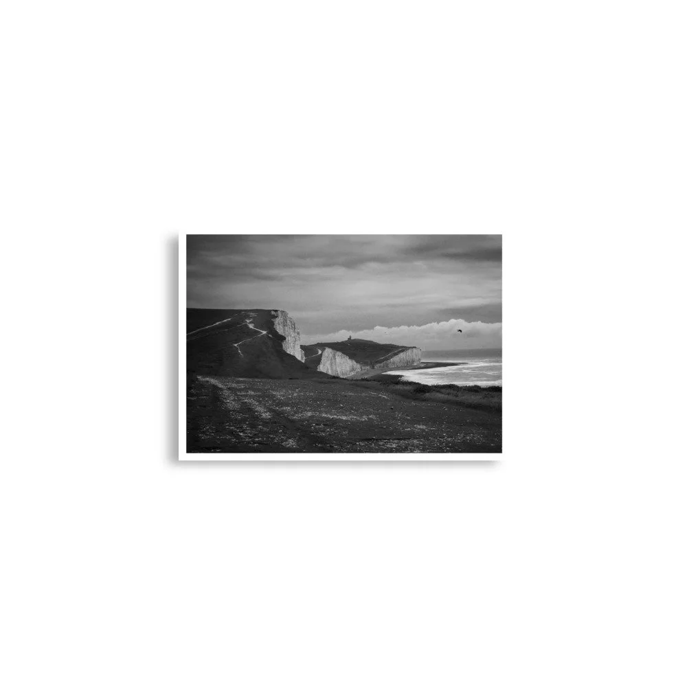 enhanced-matte-paper-poster-(in)-a2-(16.5x23.3)-front-6a0617ab521fb.jpg
