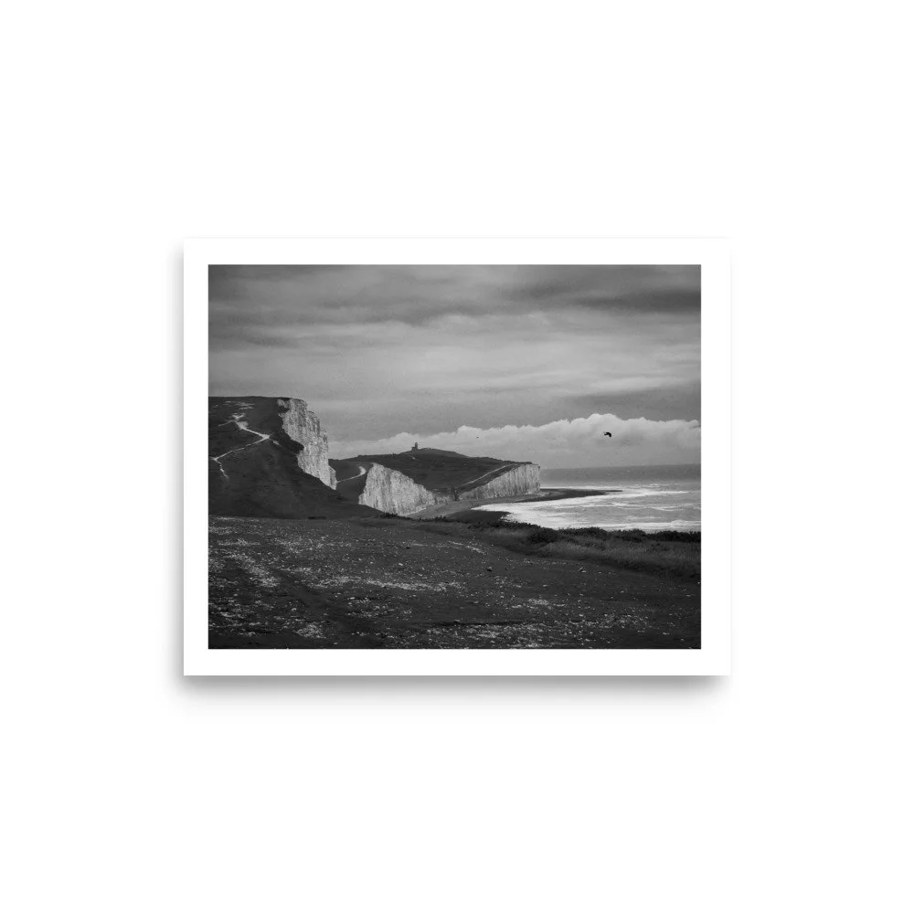 enhanced-matte-paper-poster-(in)-8x10-front-6a0617ab5074a.jpg