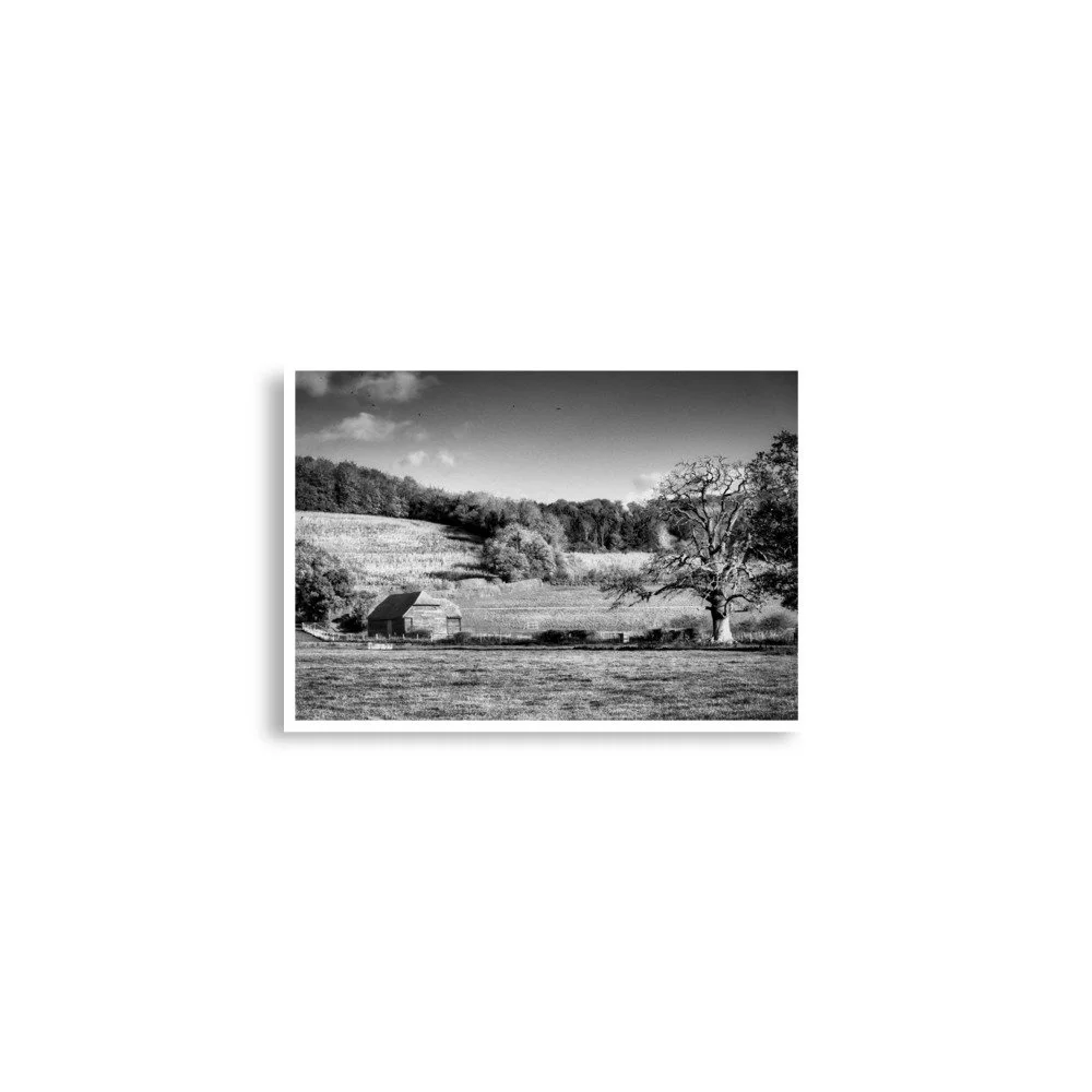 enhanced-matte-paper-poster-(in)-a2-(16.5x23.3)-front-69e9f1a3e1368.jpg