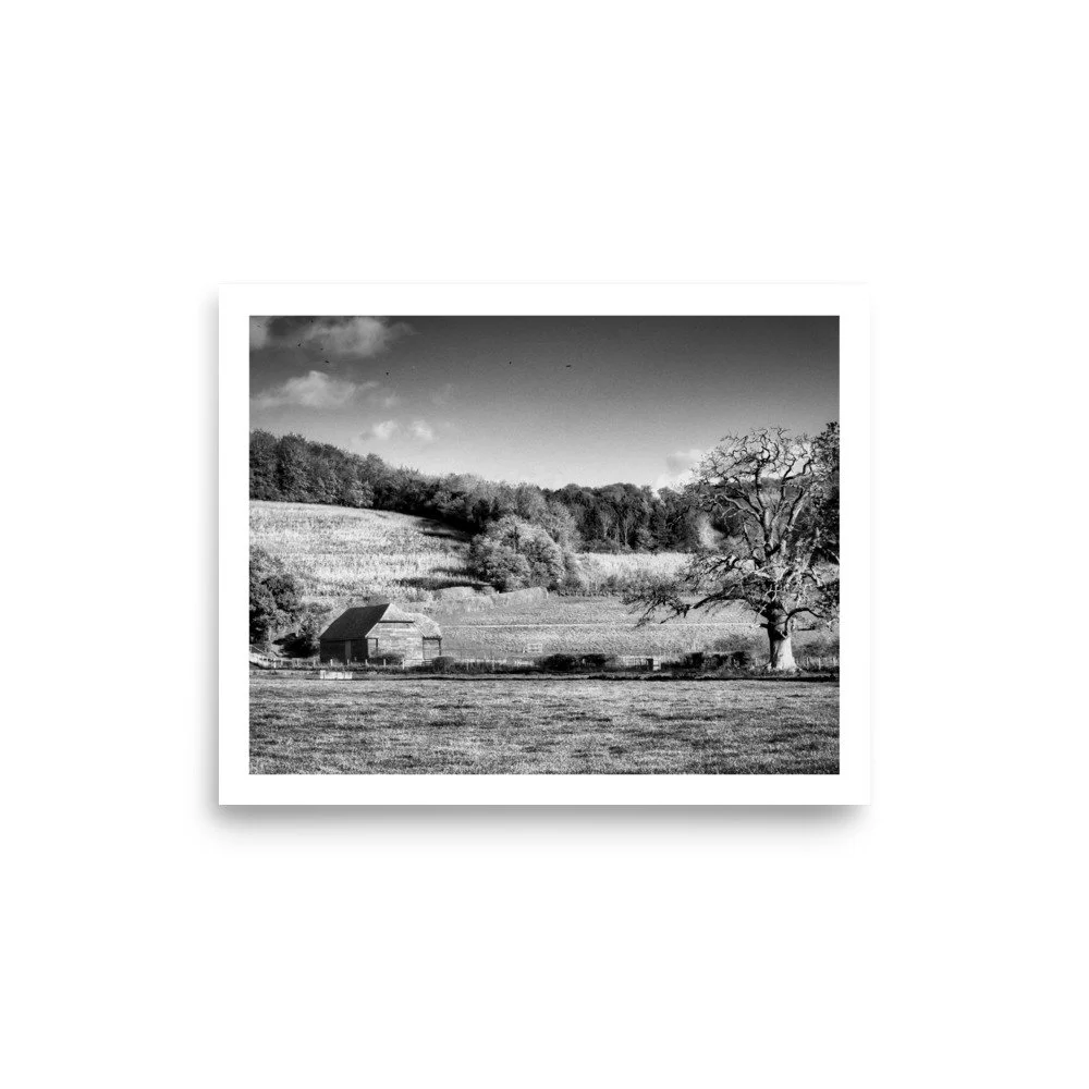 enhanced-matte-paper-poster-(in)-8x10-front-69e9f1a3df95f.jpg