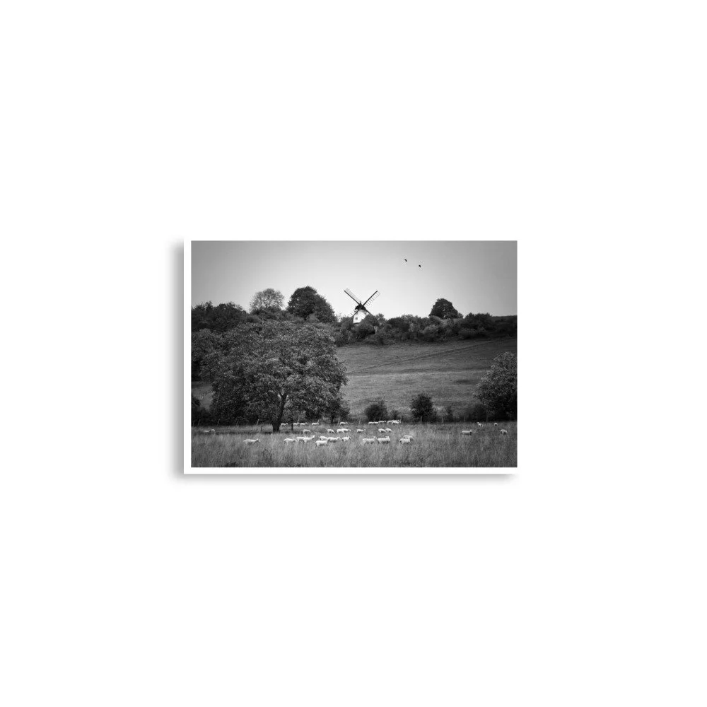 enhanced-matte-paper-poster-(in)-a2-(16.5x23.3)-front-69e9d02a15178.jpg