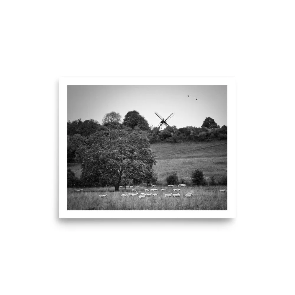 enhanced-matte-paper-poster-(in)-8x10-front-69e9d02a13588.jpg