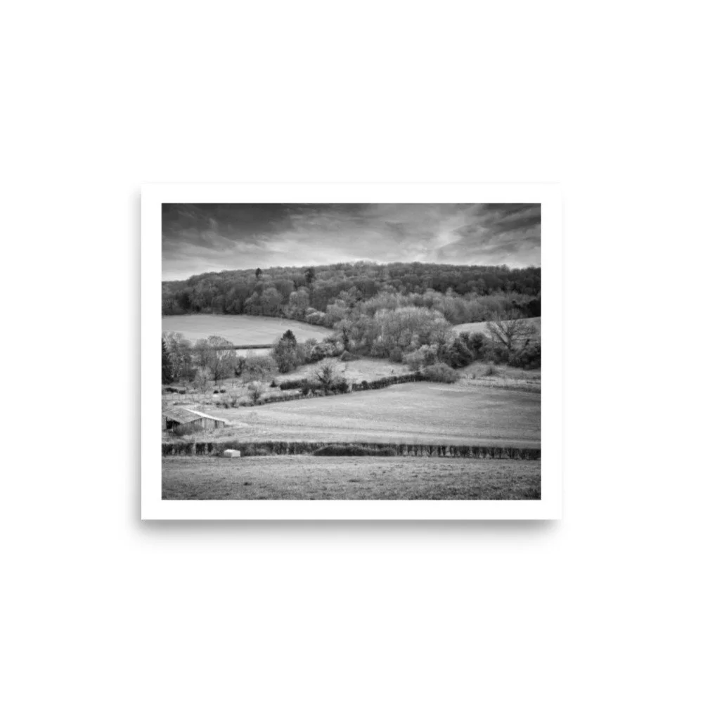 enhanced-matte-paper-poster-(in)-8x10-front-69e6a43f3f78b.jpg