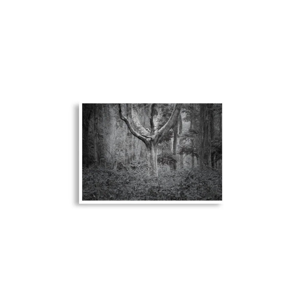 enhanced-matte-paper-poster-(in)-a2-(16.5x23.3)-front-69e6a002f3994.jpg