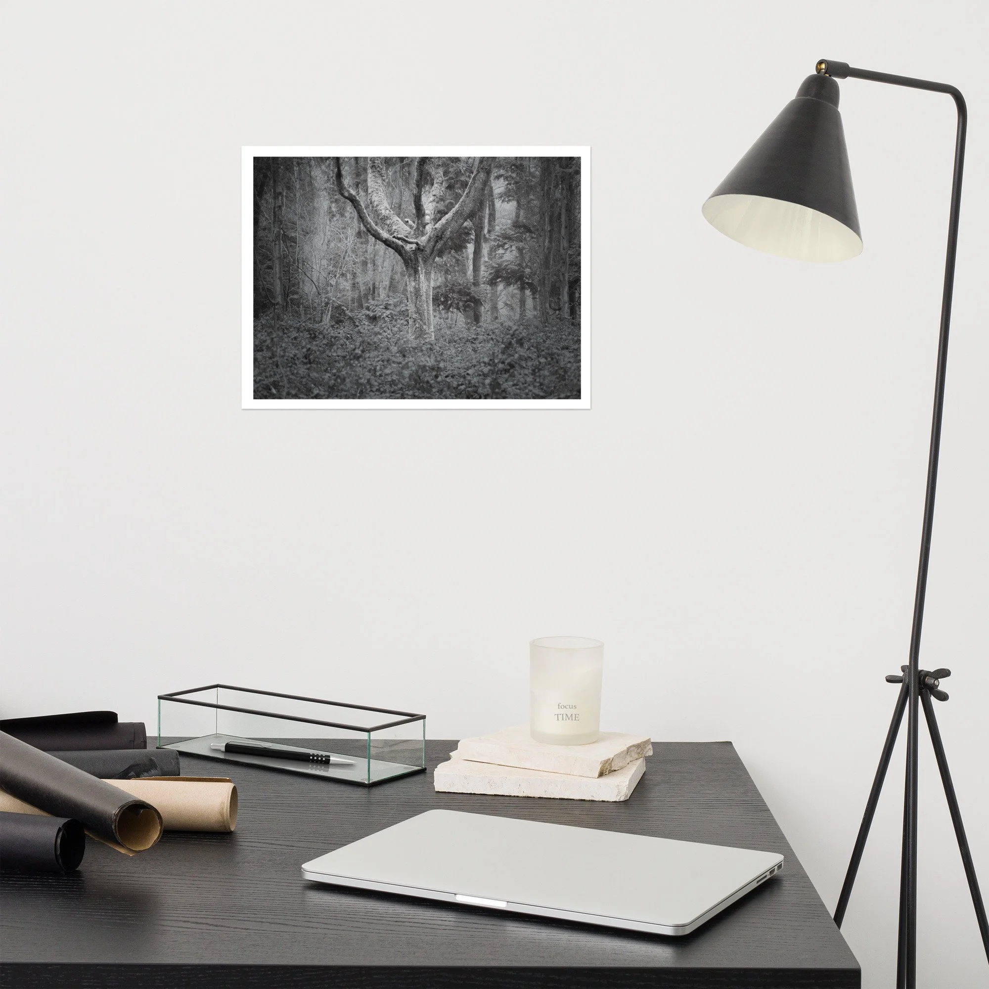 enhanced-matte-paper-poster-(in)-12x16-front-69e6a002f0e3c.jpg