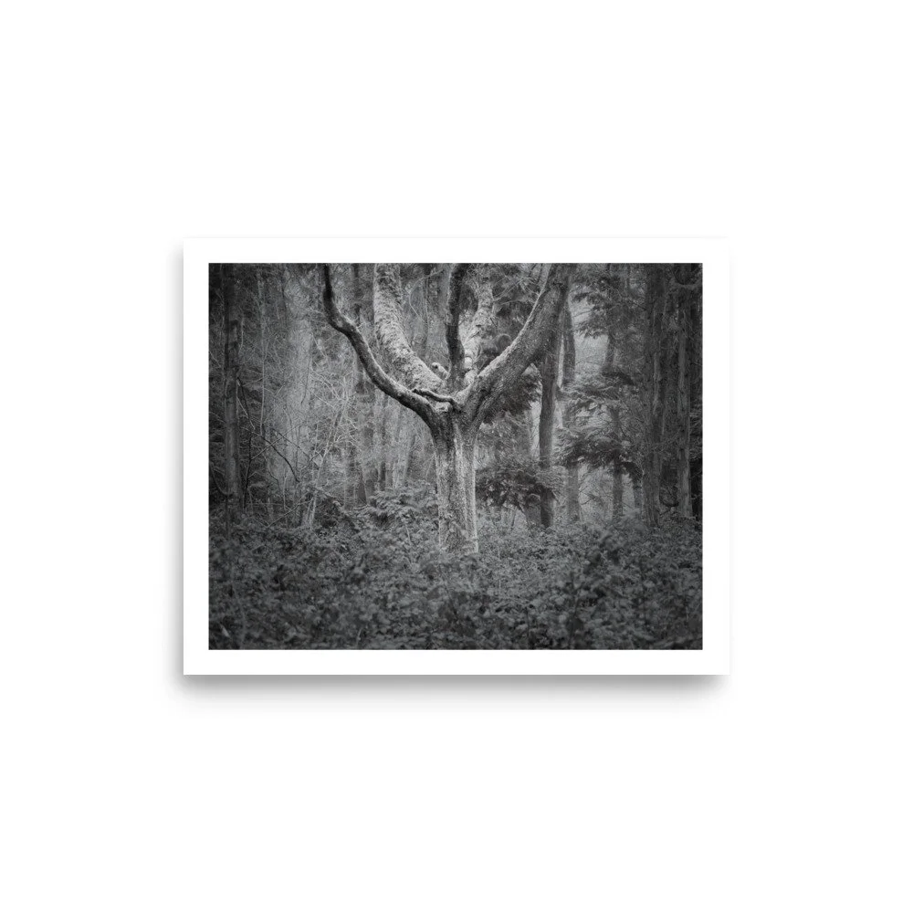 enhanced-matte-paper-poster-(in)-8x10-front-69e6a002f1d0b.jpg