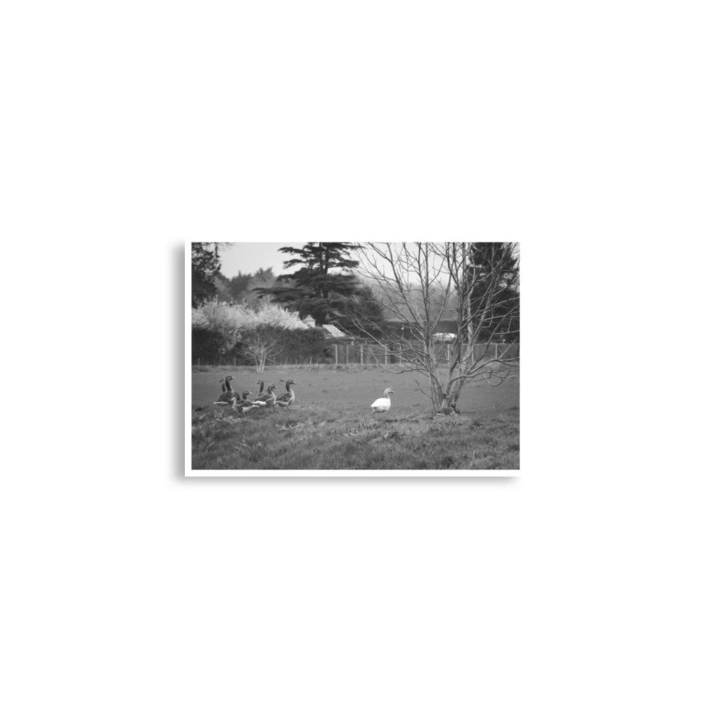 enhanced-matte-paper-poster-(in)-a2-(16.5x23.3)-front-69e69d817a018.jpg