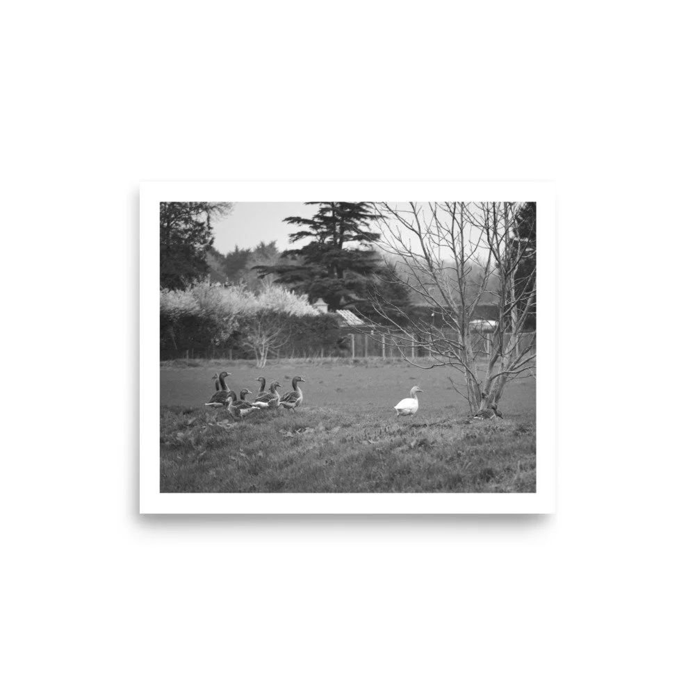 enhanced-matte-paper-poster-(in)-8x10-front-69e69d81794c0.jpg