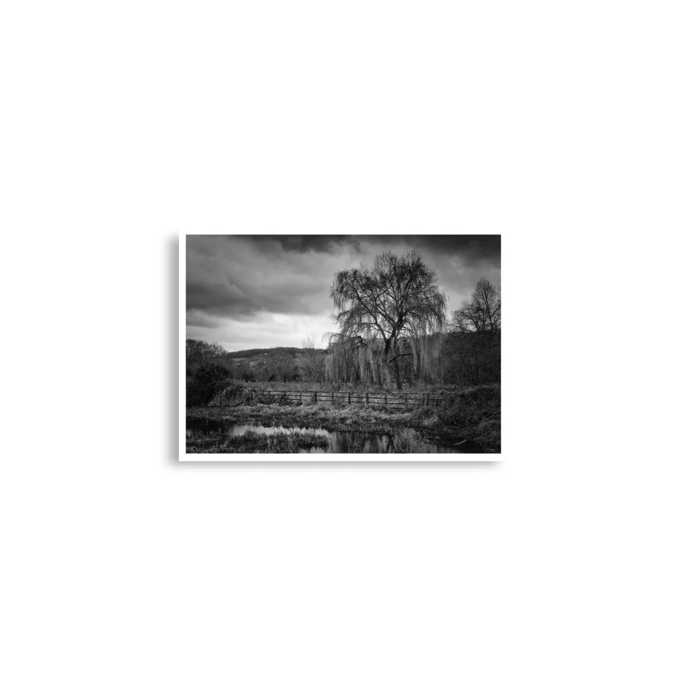 enhanced-matte-paper-poster-(in)-a2-(16.5x23.3)-front-69e665e187350.jpg