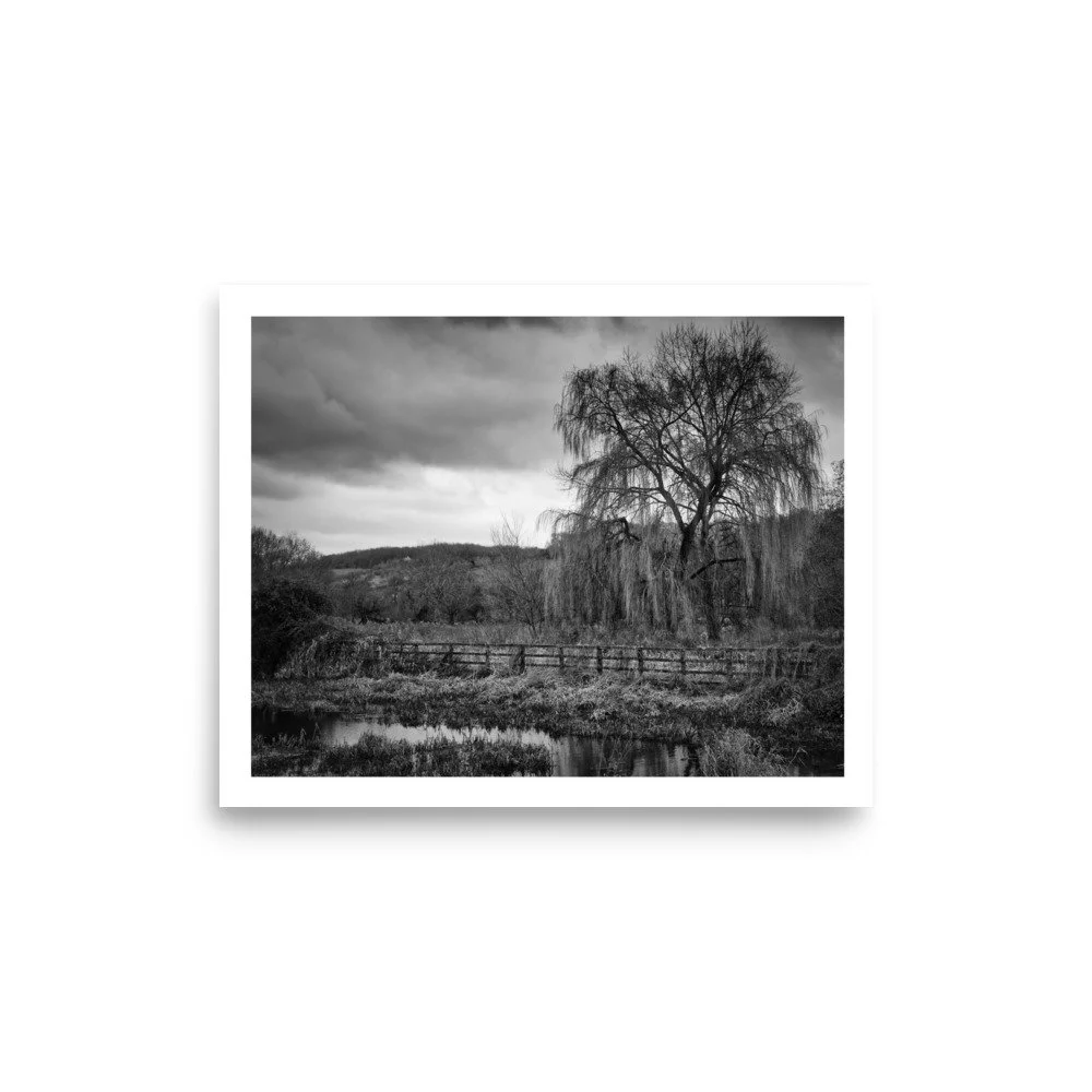 enhanced-matte-paper-poster-(in)-8x10-front-69e665e186951.jpg