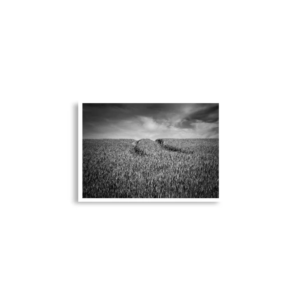 enhanced-matte-paper-poster-(in)-a2-(16.5x23.3)-front-69e5717ce0e21.jpg