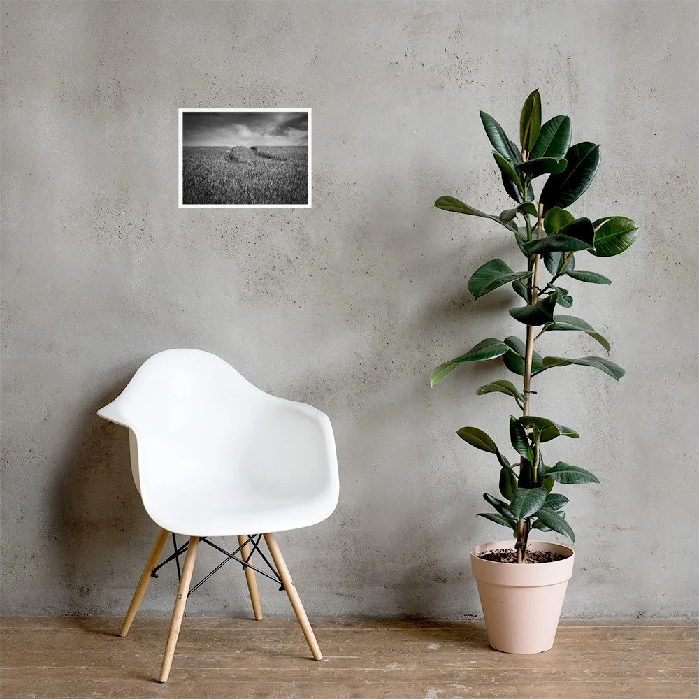 enhanced-matte-paper-poster-(in)-12x16-lifestyle-1-69e5717cdf55c.jpg