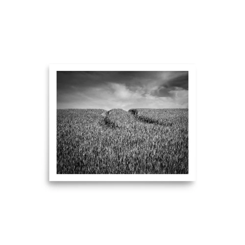 Corn Field, Chiltern Hills – B&W Art Print