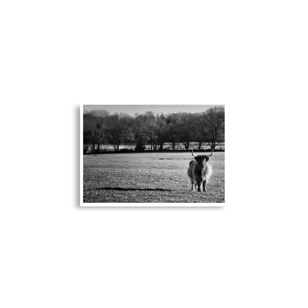 enhanced-matte-paper-poster-(in)-a2-(16.5x23.3)-front-69e55a8cf3f44.jpg
