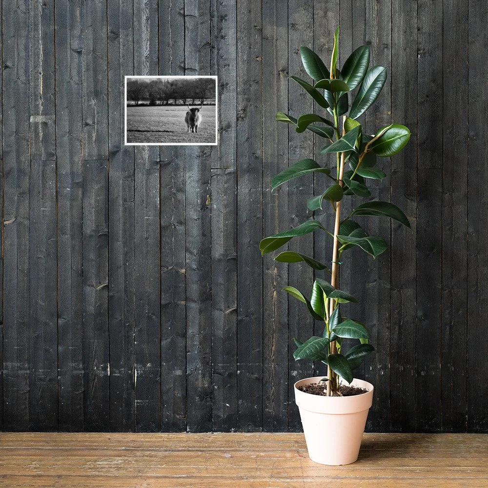 enhanced-matte-paper-poster-(in)-12x16-lifestyle-2-69e55a8cf1765.jpg