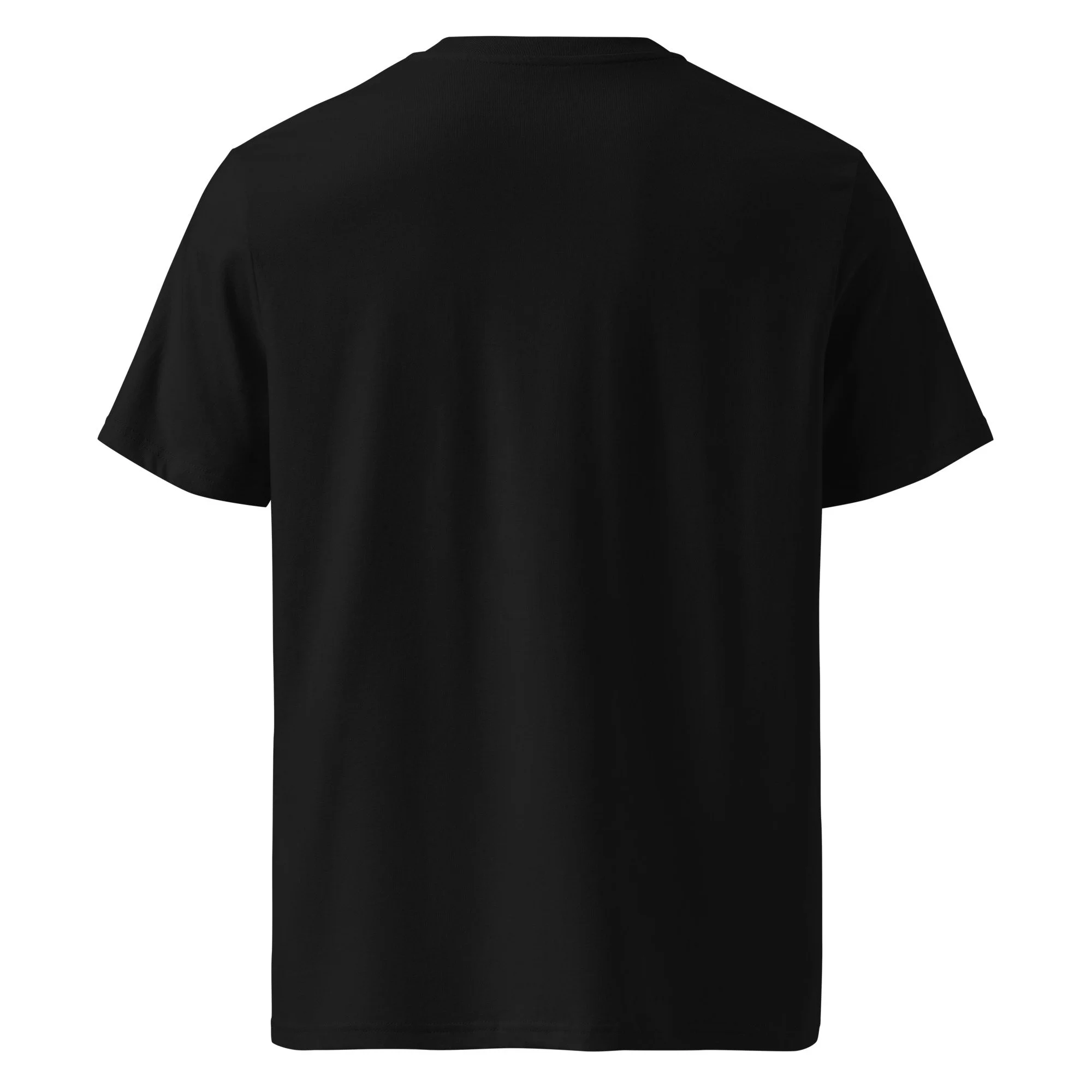 unisex-organic-cotton-creator-2.0-t-shirt-black-back-69e3e0d61daa1.jpg