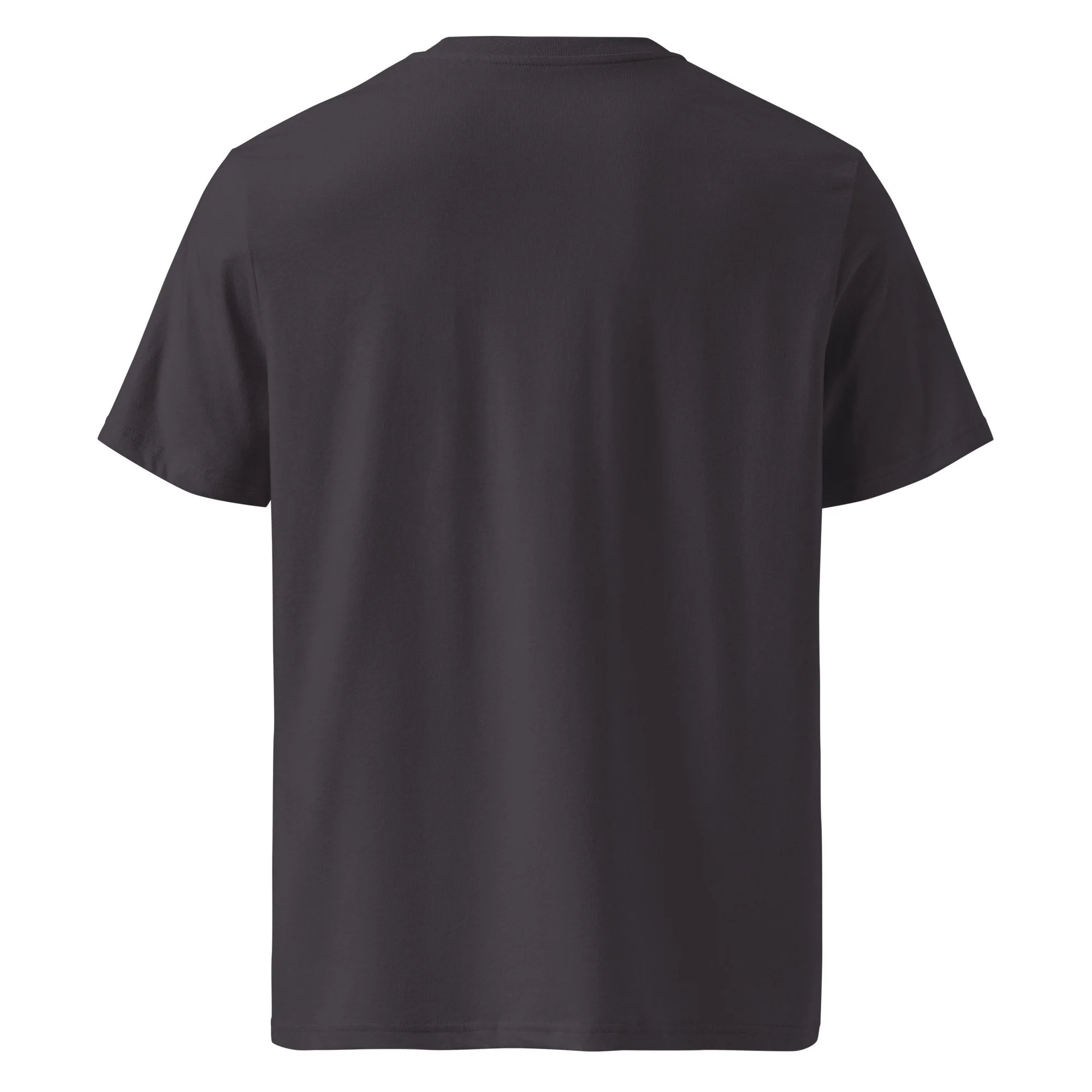 unisex-organic-cotton-creator-2.0-t-shirt-anthracite-back-69e3e0d61d975.jpg