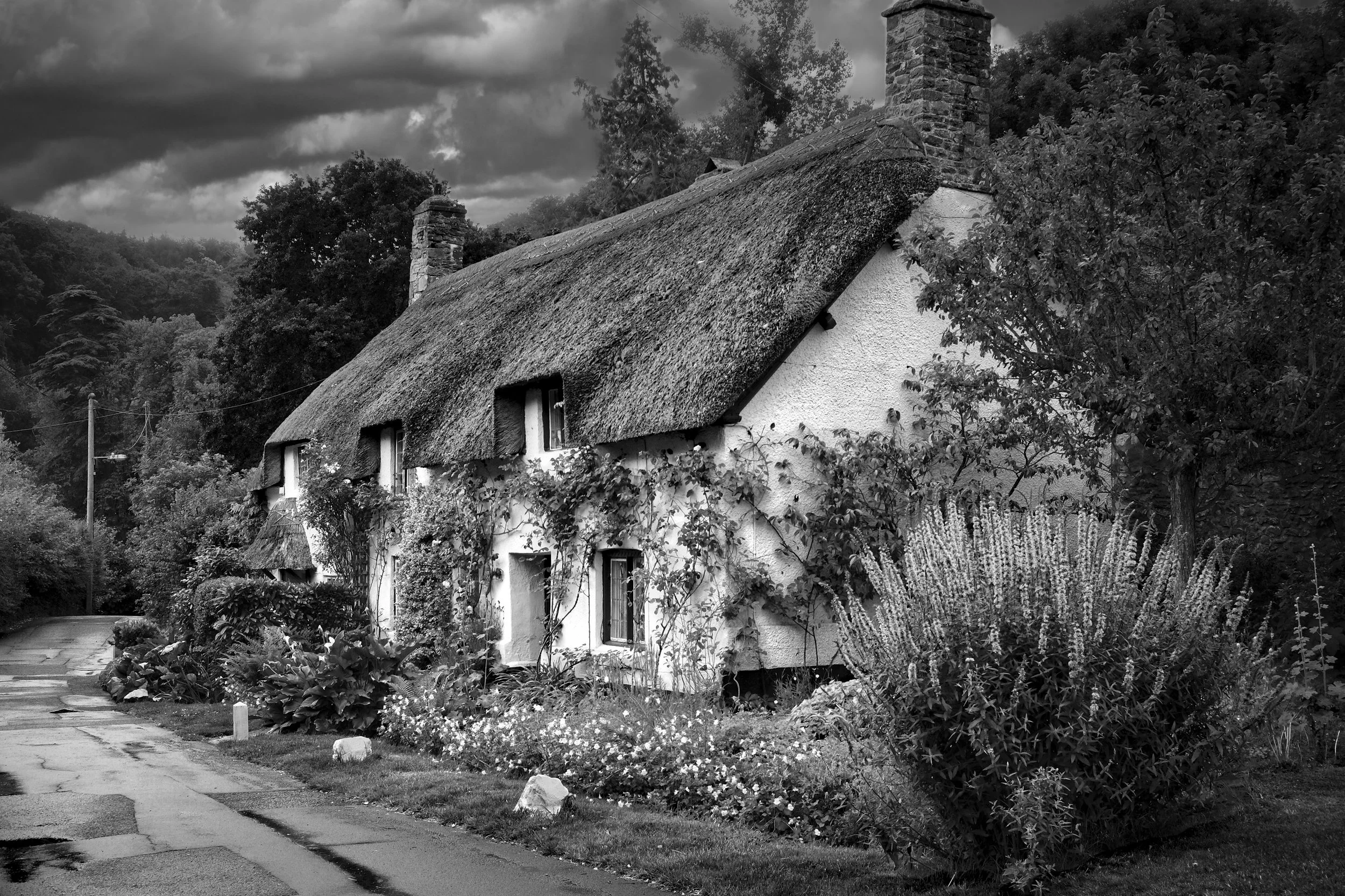 Thatched country cottage and garden photographed in black and white