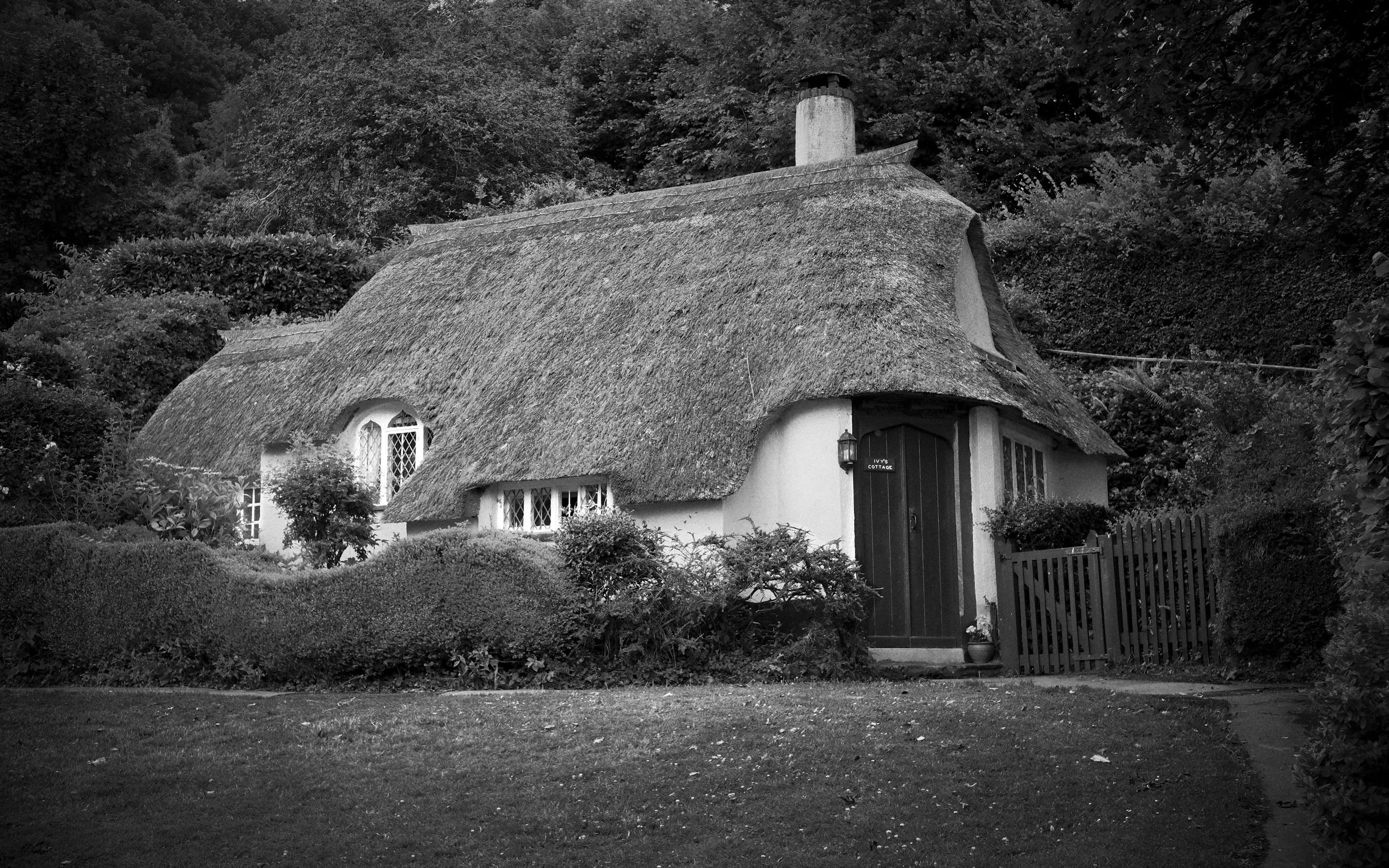 Traditional cottage in Selworthy National Trust village on Exmoor