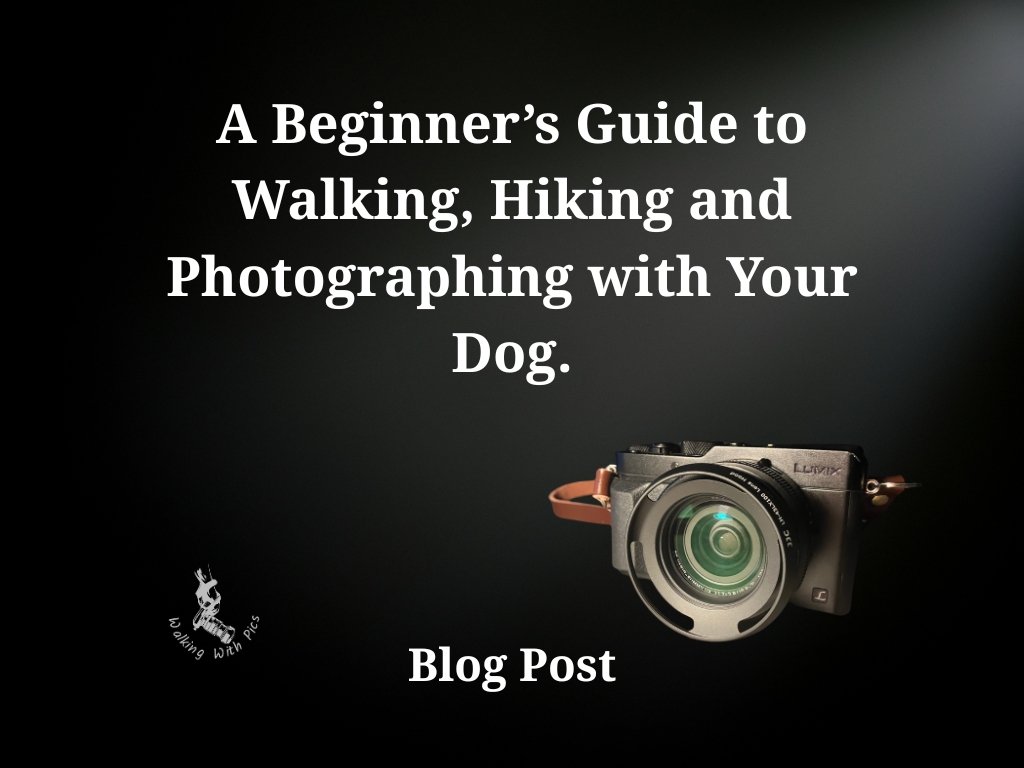 A Beginner’s Guide to Walking, Hiking and Photographing with Your Dog.