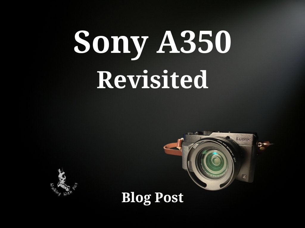 Sony A350 Revisited