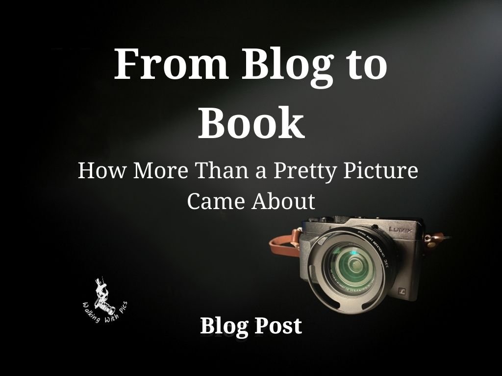 From Blog to Book — How More Than a Pretty Picture Came About