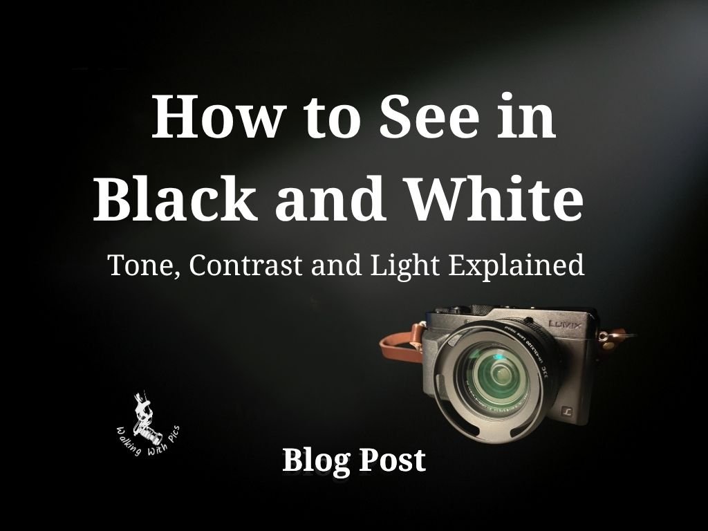 How to See in Black and White — Tone, Contrast and Light Explained
