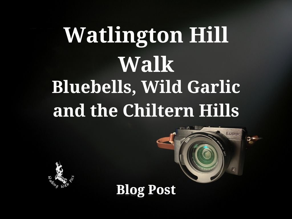 Watlington Hill and the Chiltern Bluebell Woods — A Circular Walk from Watlington