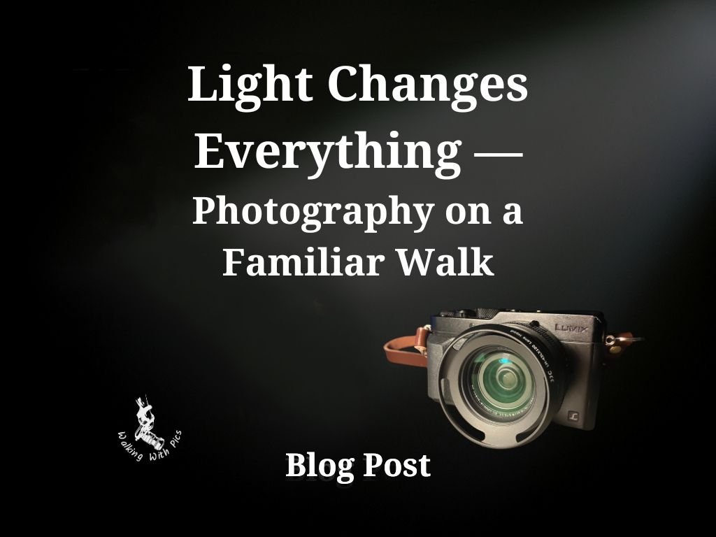 Light Changes Everything — Photography on a Familiar Walk