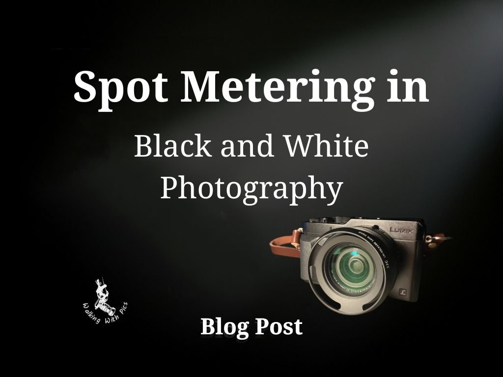 The Benefits of Spot Metering in Black and White Photography