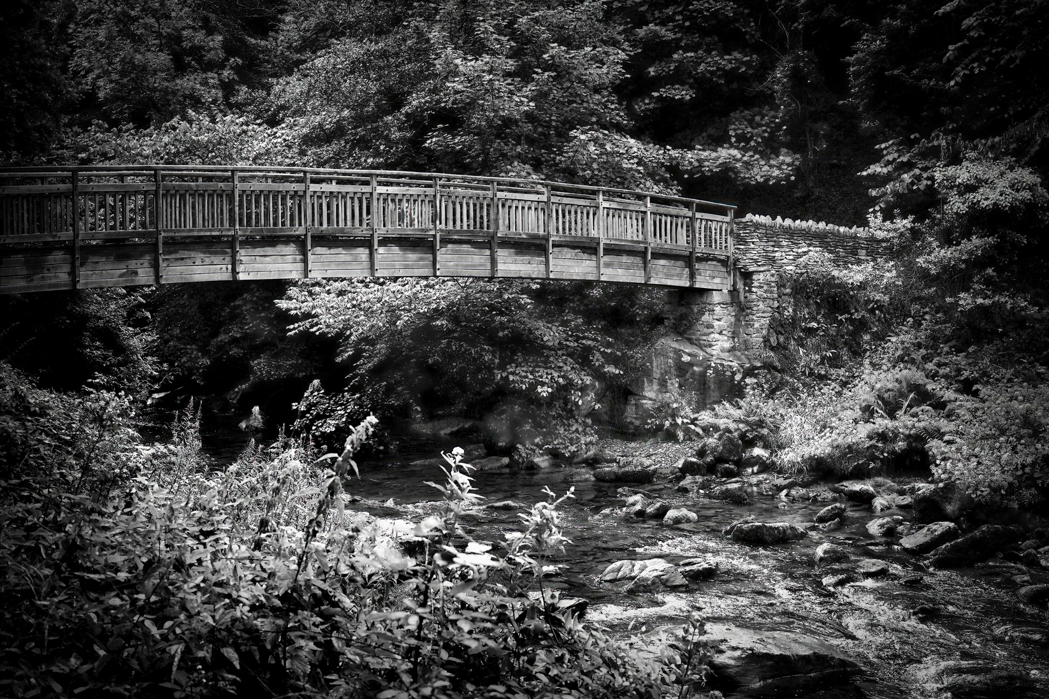 Wooden river bridge near Lynton on Exmoor