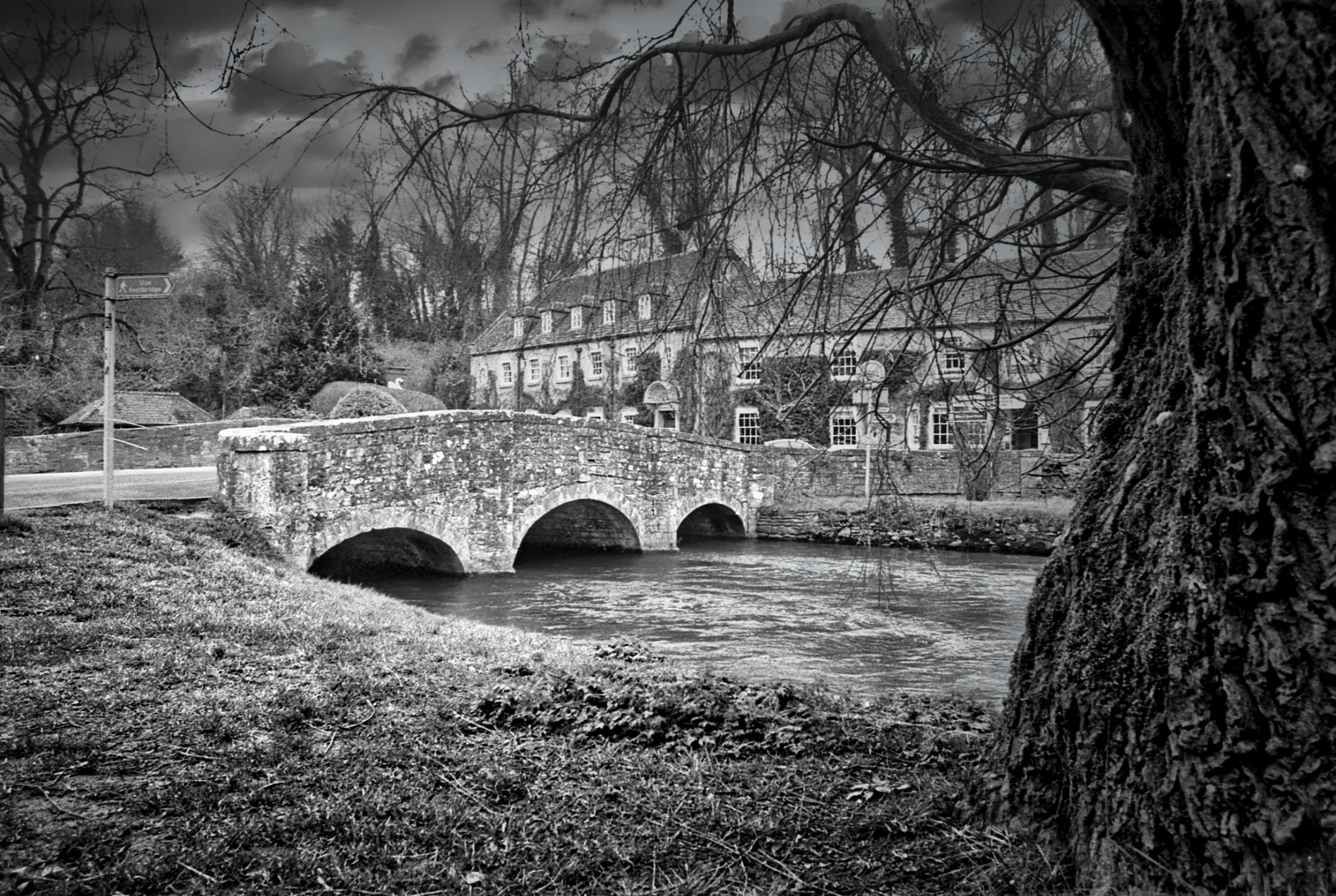 Stone bridge beneath dramatic trees