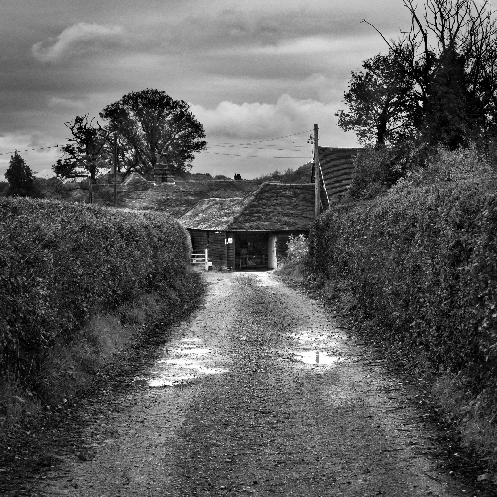 Quiet Buckinghamshire farm lane