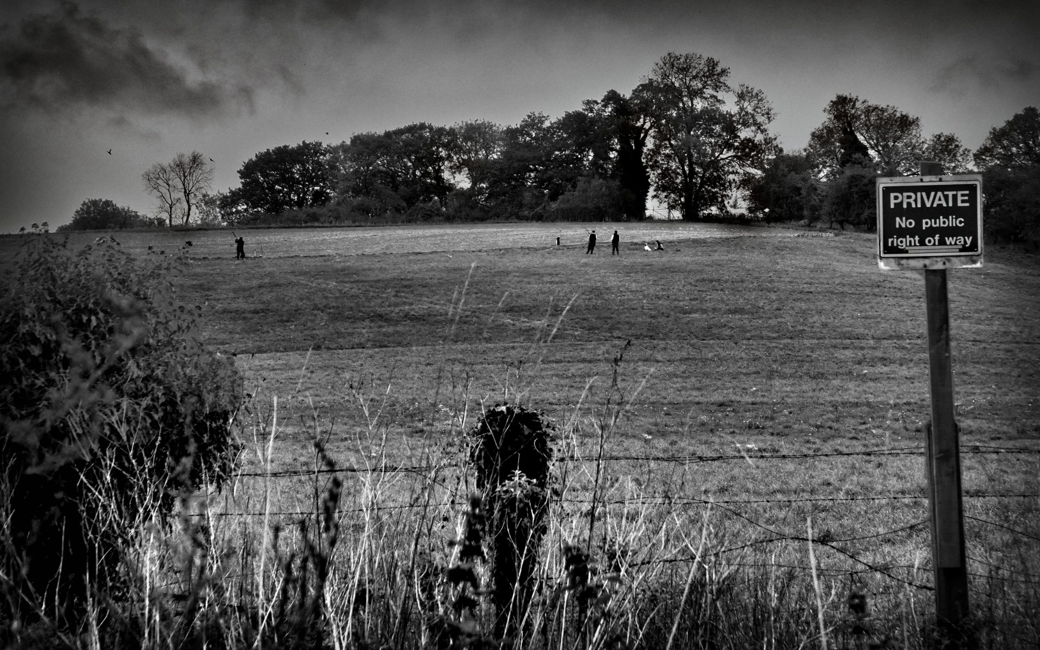 Rural Buckinghamshire field near Ibstone