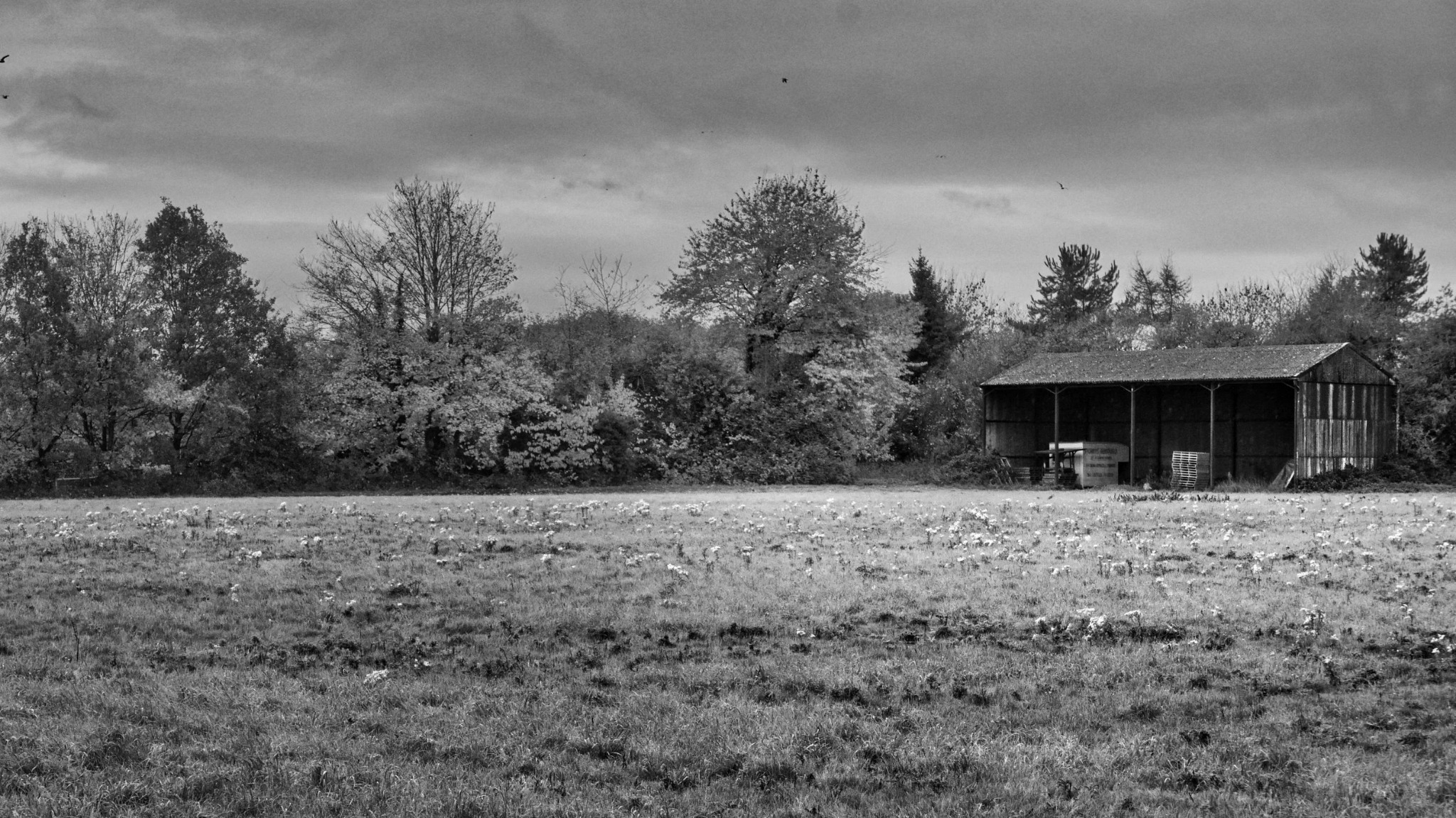 Buckinghamshire countryside landscape