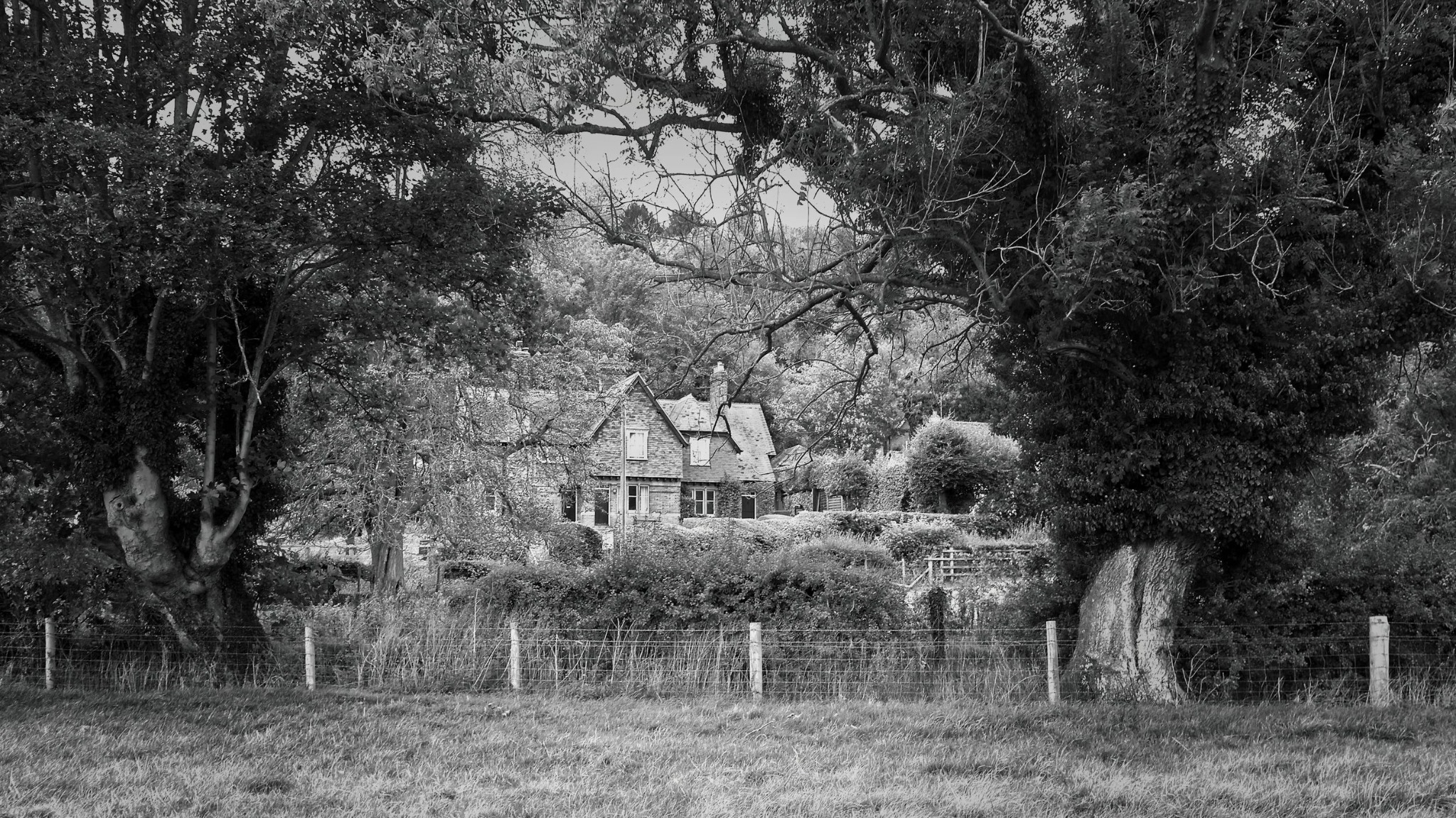 Country cottage framed by mature trees near Hambleden