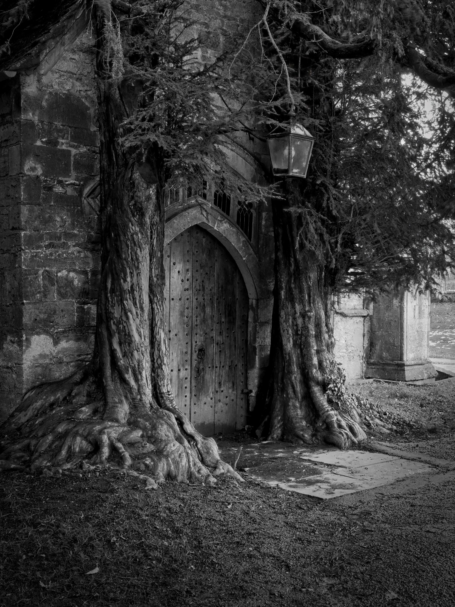 Historic church doorway framed by old yew trees