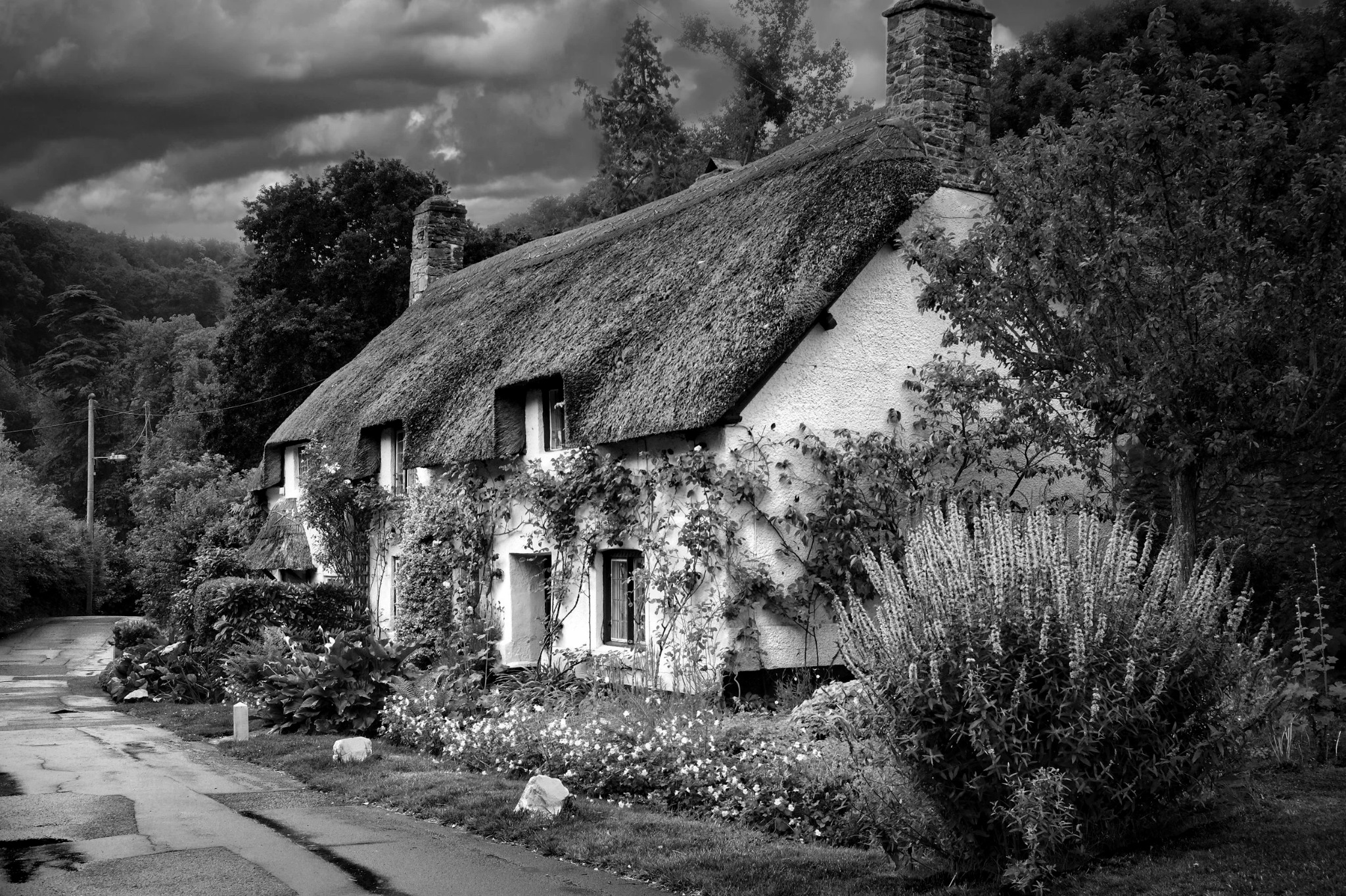 Thatched cottages along an English village street