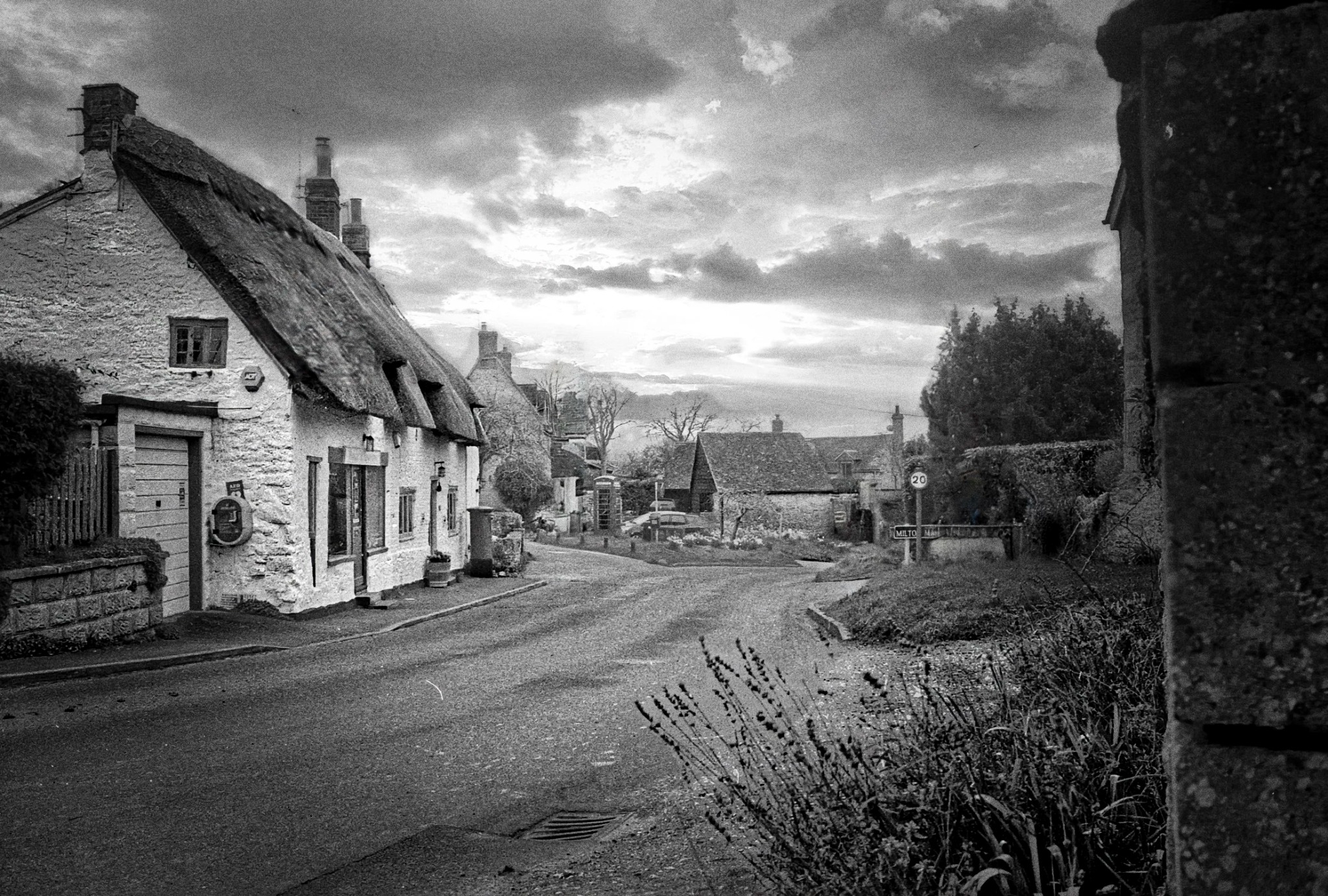 Ivy's Cottage with thatched roof and timber door
