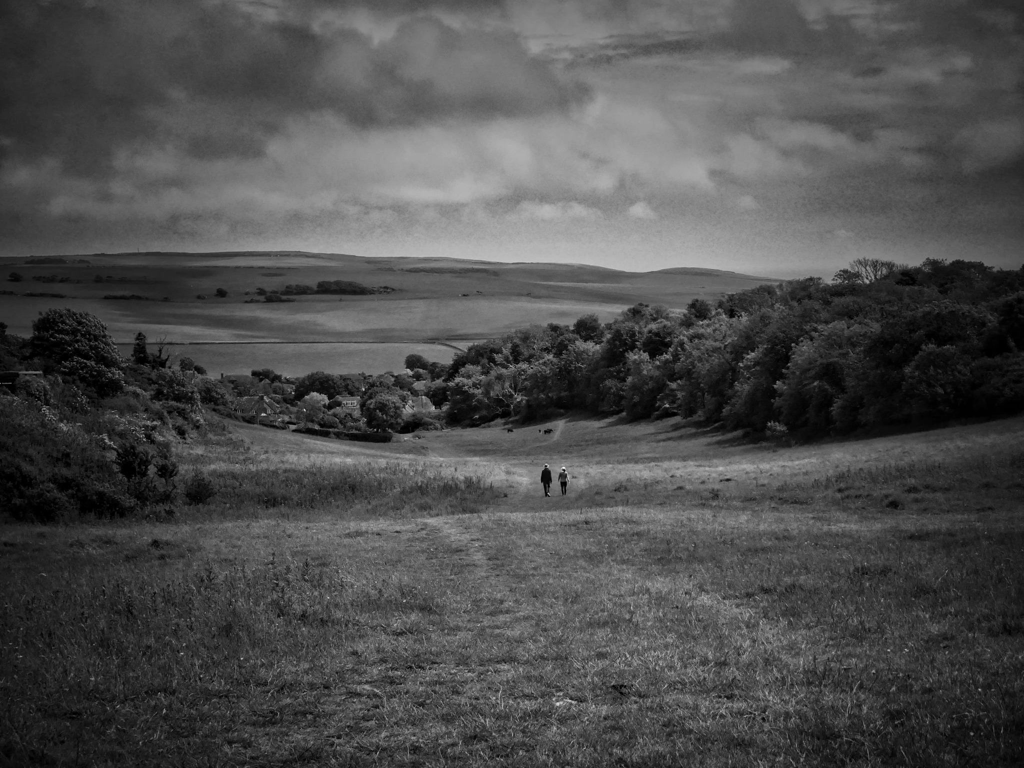 Walkers crossing the South Downs
