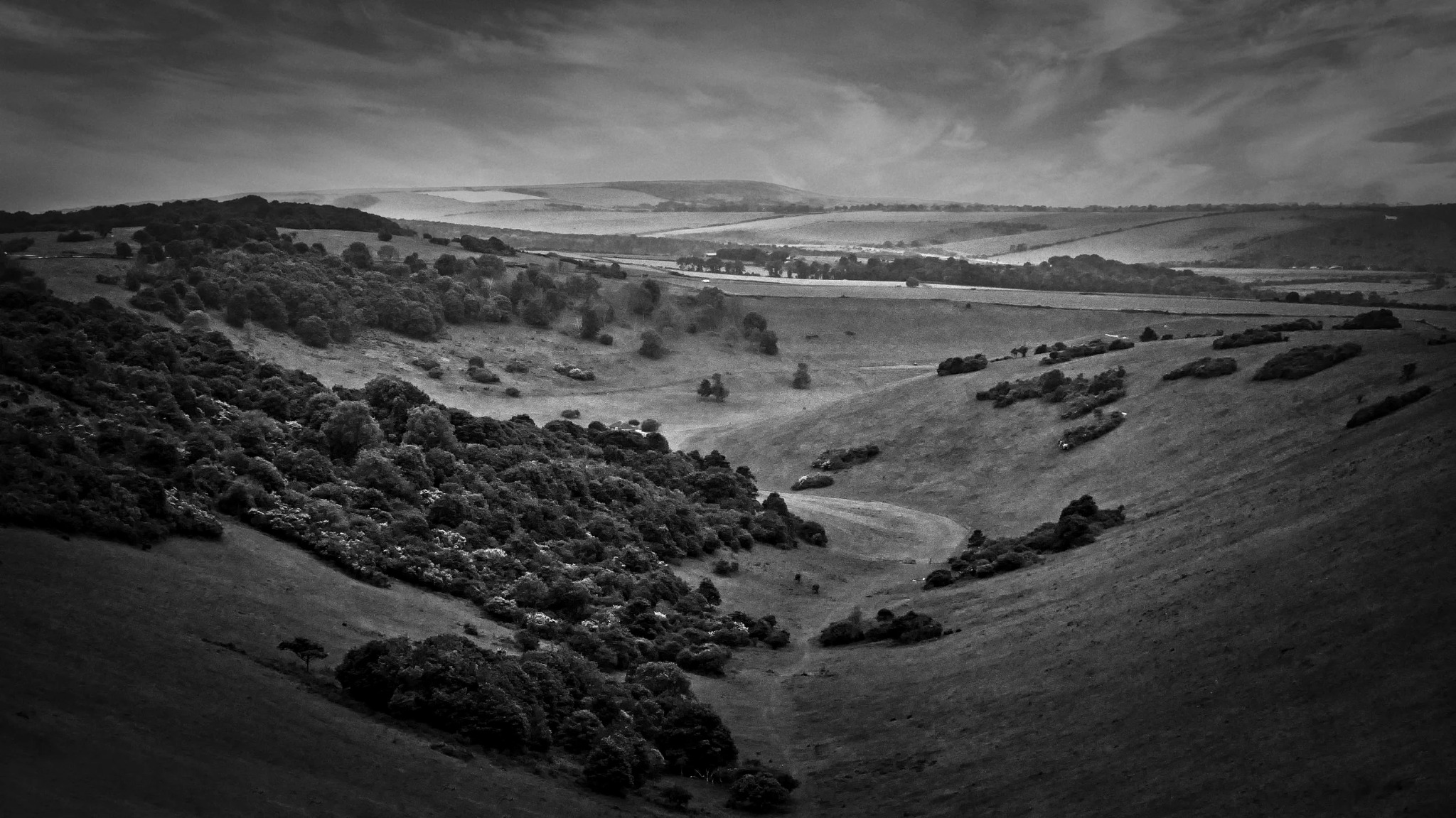 Rolling chalk valley in the South Downs