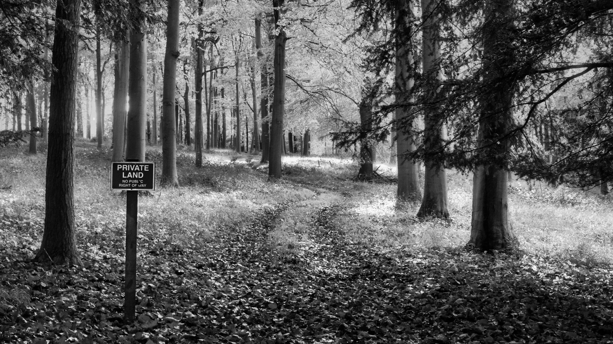 Woodland path with a private property sign in Buckinghamshire